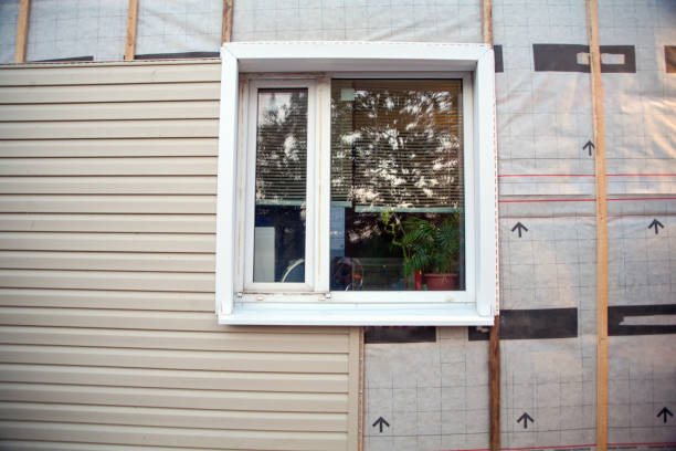 Best Siding Painting and Refinishing  in New Iberia, LA