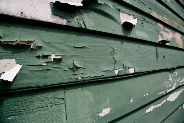 Best Fiber Cement Siding Installation  in New Iberia, LA