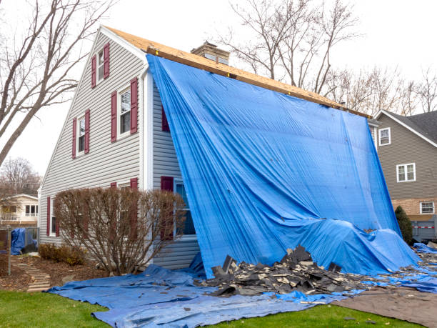 Affordable siding repair and maintenance services in New Iberia, LA