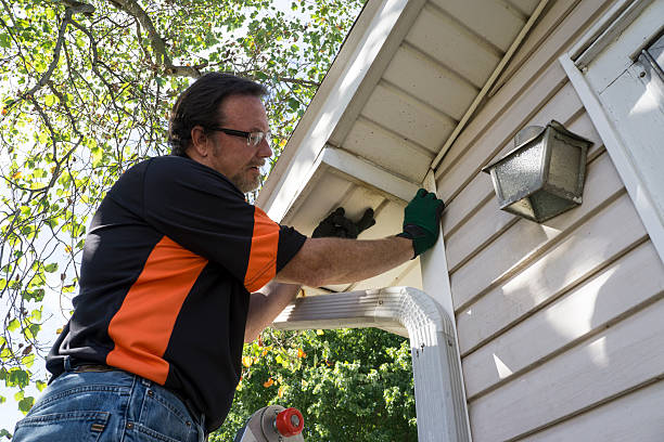 Best Custom Siding Design  in New Iberia, LA